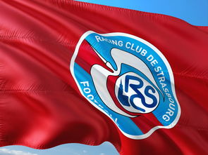 od体育官网入口-帕尔梅拉斯赛前战术会议，细节决定比赛胜负